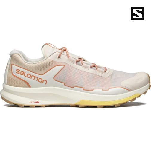 Cream Salomon Ultra Raid Men's Sneakers | IE FT9154